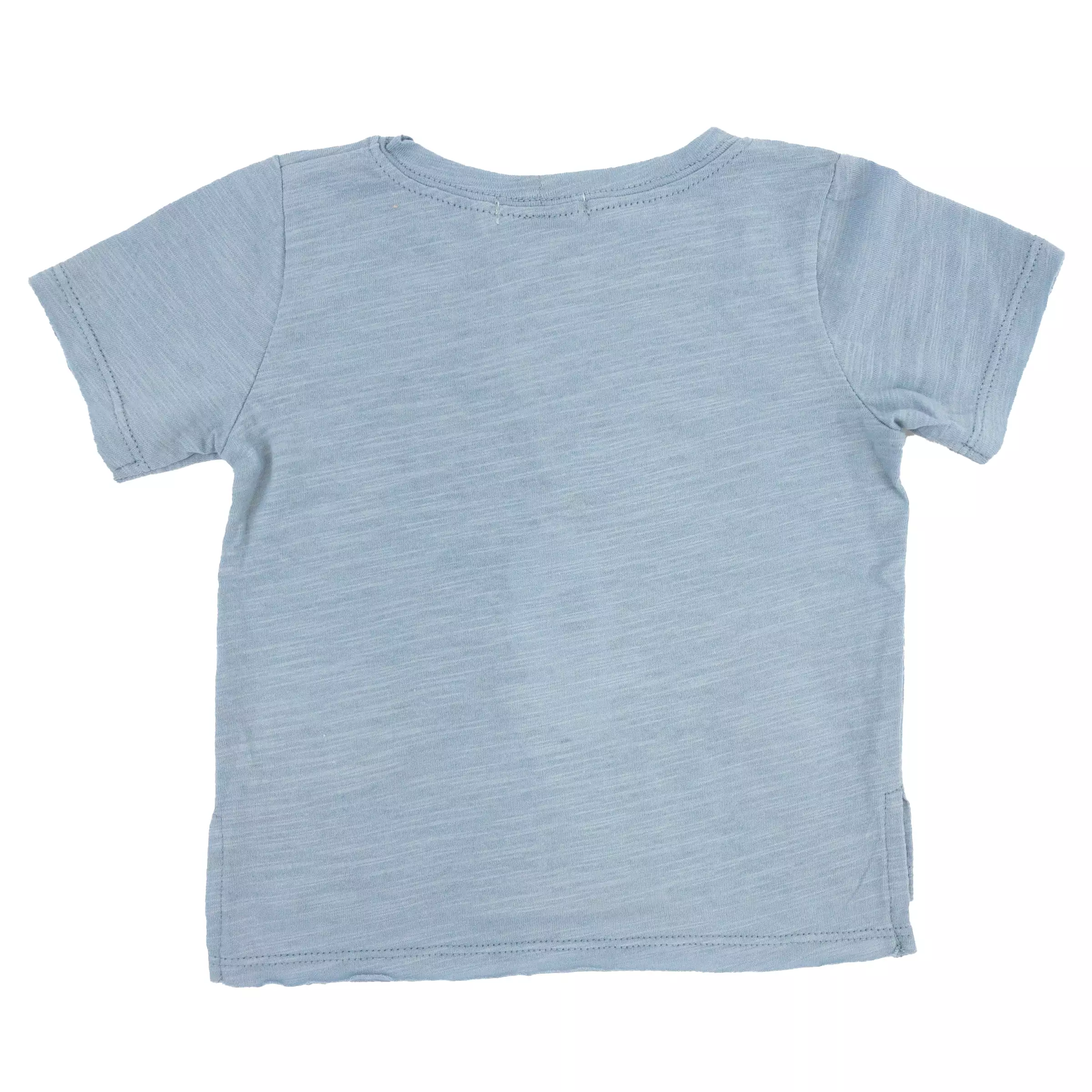 baby Raw Edge Tee Large Puppy Mist Natural Applique Fog