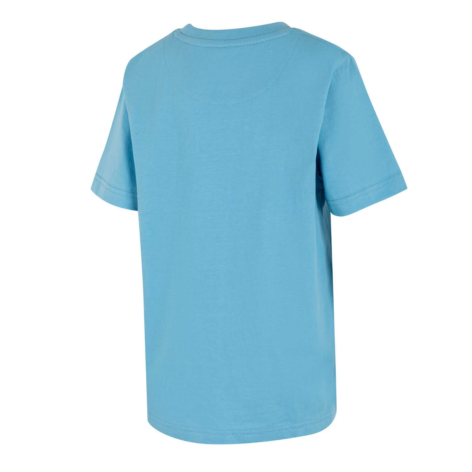 Blue Essential Boys T-shirt