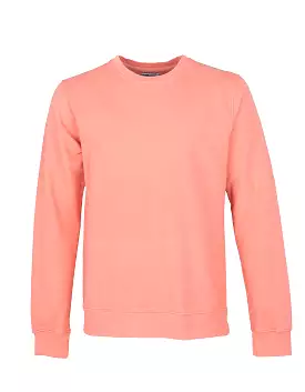 Colorful coral crew sweat