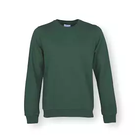 Colorful emerald green crew sweatshirt