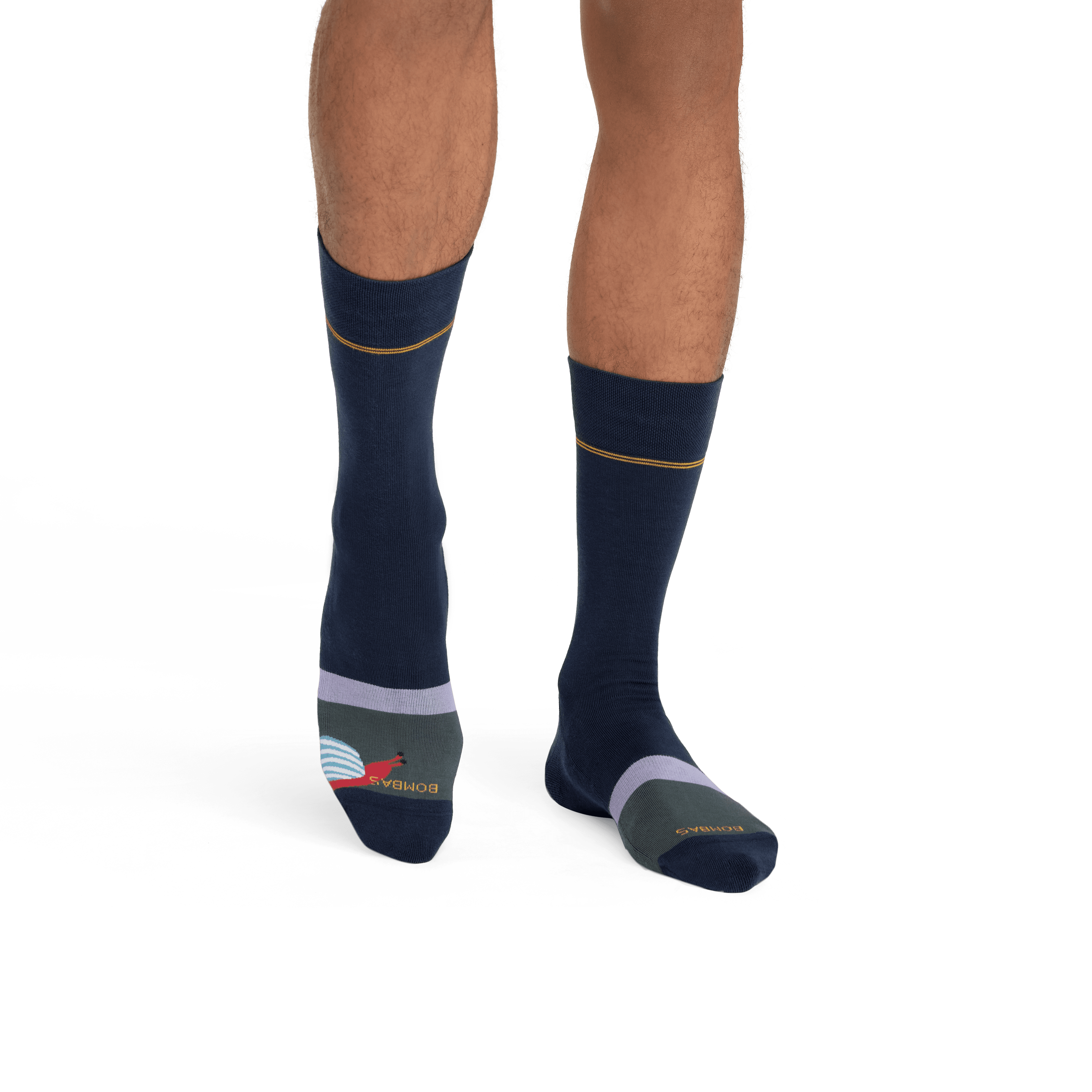 Dress Calf Socks for Men - Pack of 8