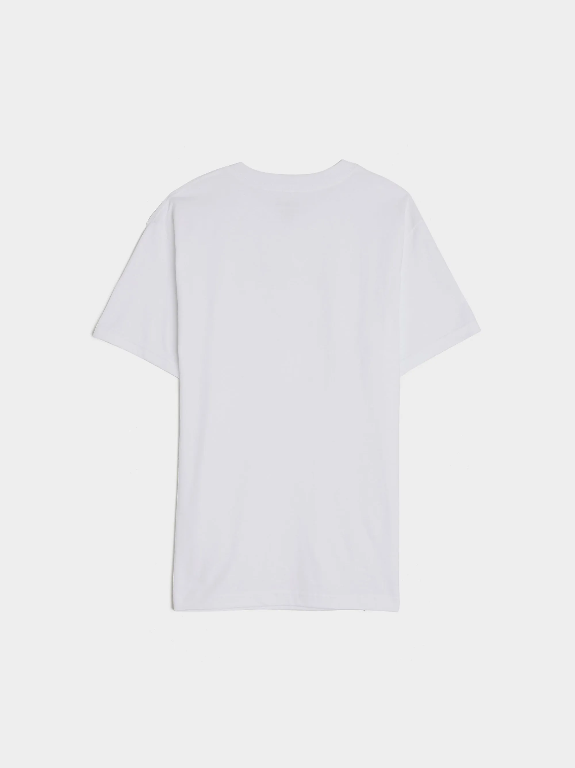 White T-Shirt Present