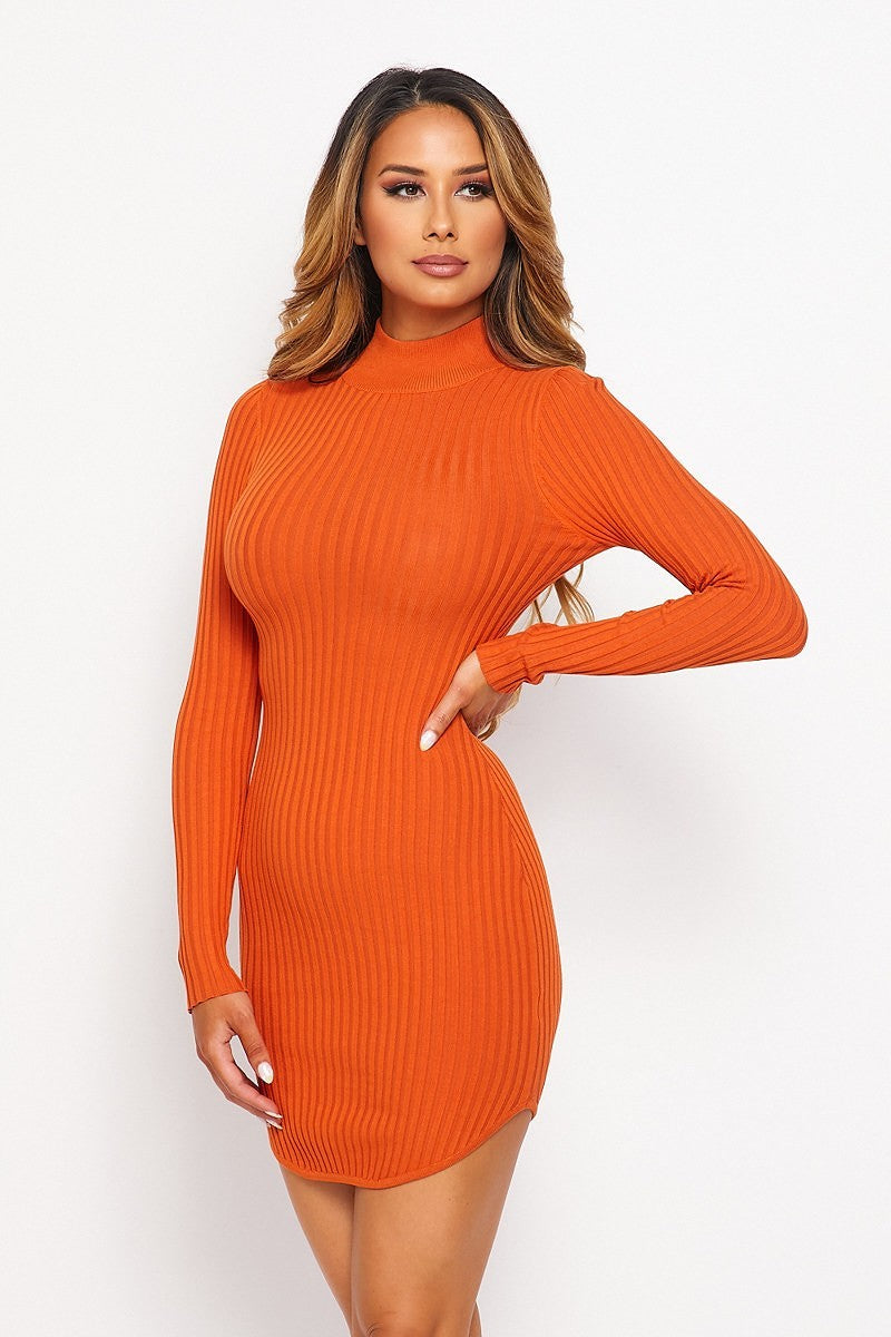 Knitted High Neck A-Line Dress