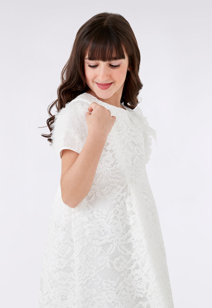 Lace Ruffle Sleeve Dress