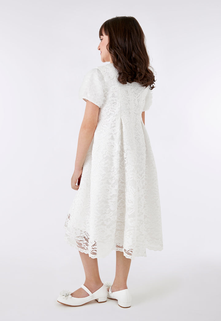 Lace Ruffle Sleeve Dress