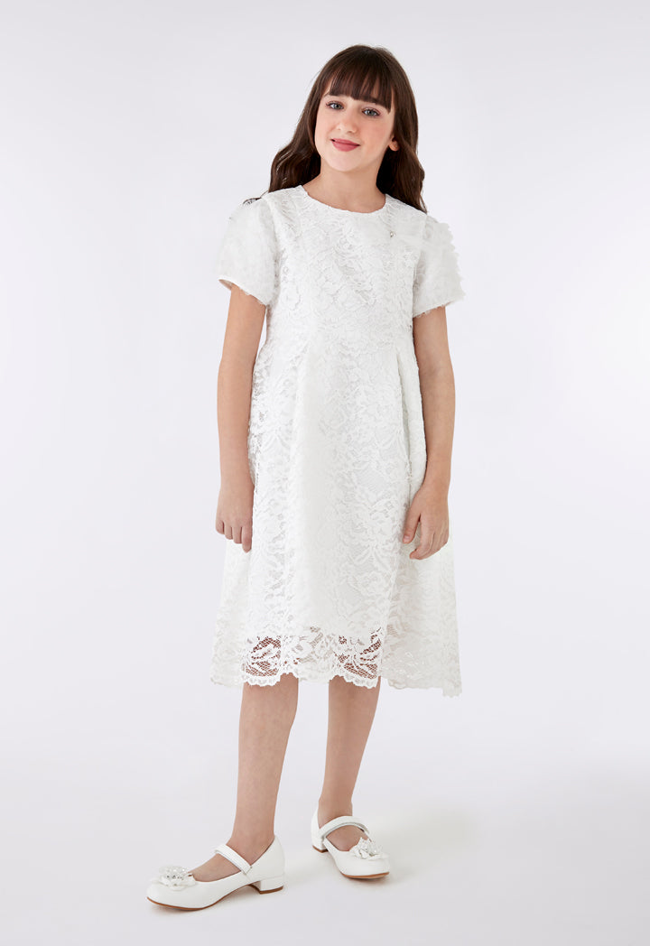 Lace Ruffle Sleeve Dress