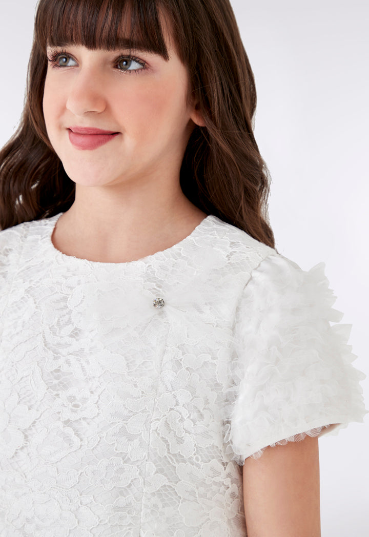 Lace Ruffle Sleeve Dress