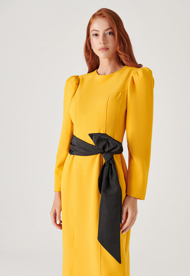 Solid Dress With Juliet Sleeves - Best Deals and Latest Styles Online [RESULT]