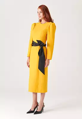 Solid Dress With Juliet Sleeves - Best Deals and Latest Styles Online [RESULT]