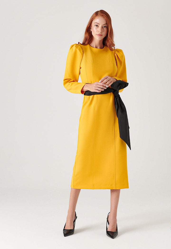 Solid Dress With Juliet Sleeves - Best Deals and Latest Styles Online [RESULT]