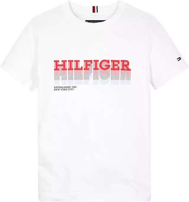 Tommy Hilfiger Junior Fade T-Shirt