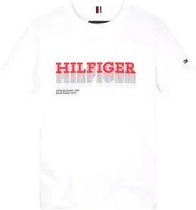 Tommy Hilfiger Junior Fade T-Shirt